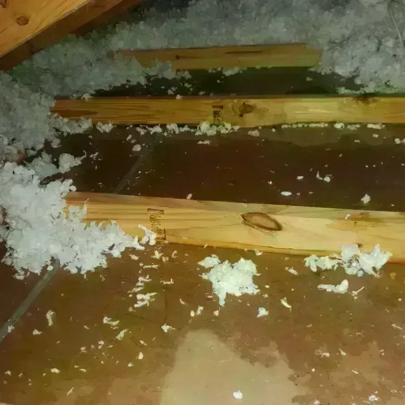 Attic Water Damage in Forest Hills, PA